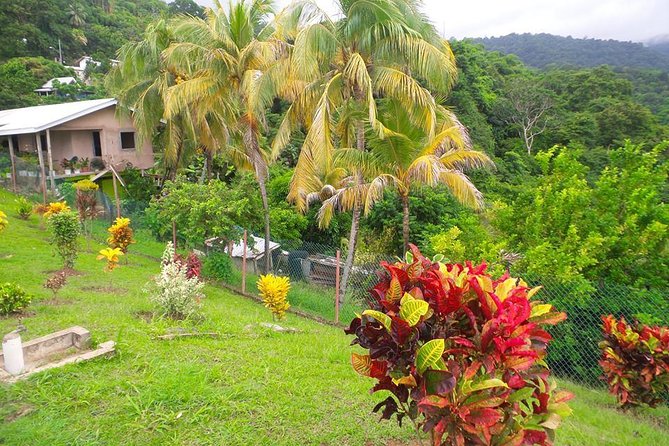 VIP Inclusive Private Tour of Island (Lunch, Drinks + Snorkeling) - The guide makes the difference