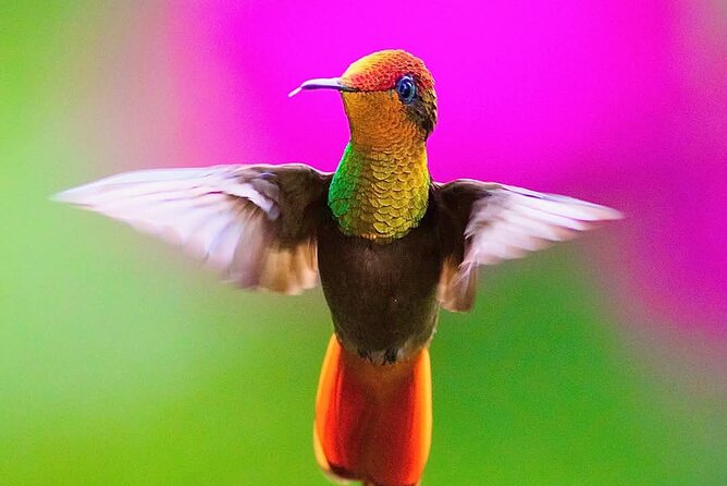 Yerette Home of the Hummingbird - Is the lecture too long?